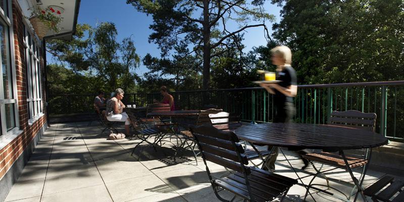 בורנמות' The Lodge At Meyrick Park מראה חיצוני תמונה